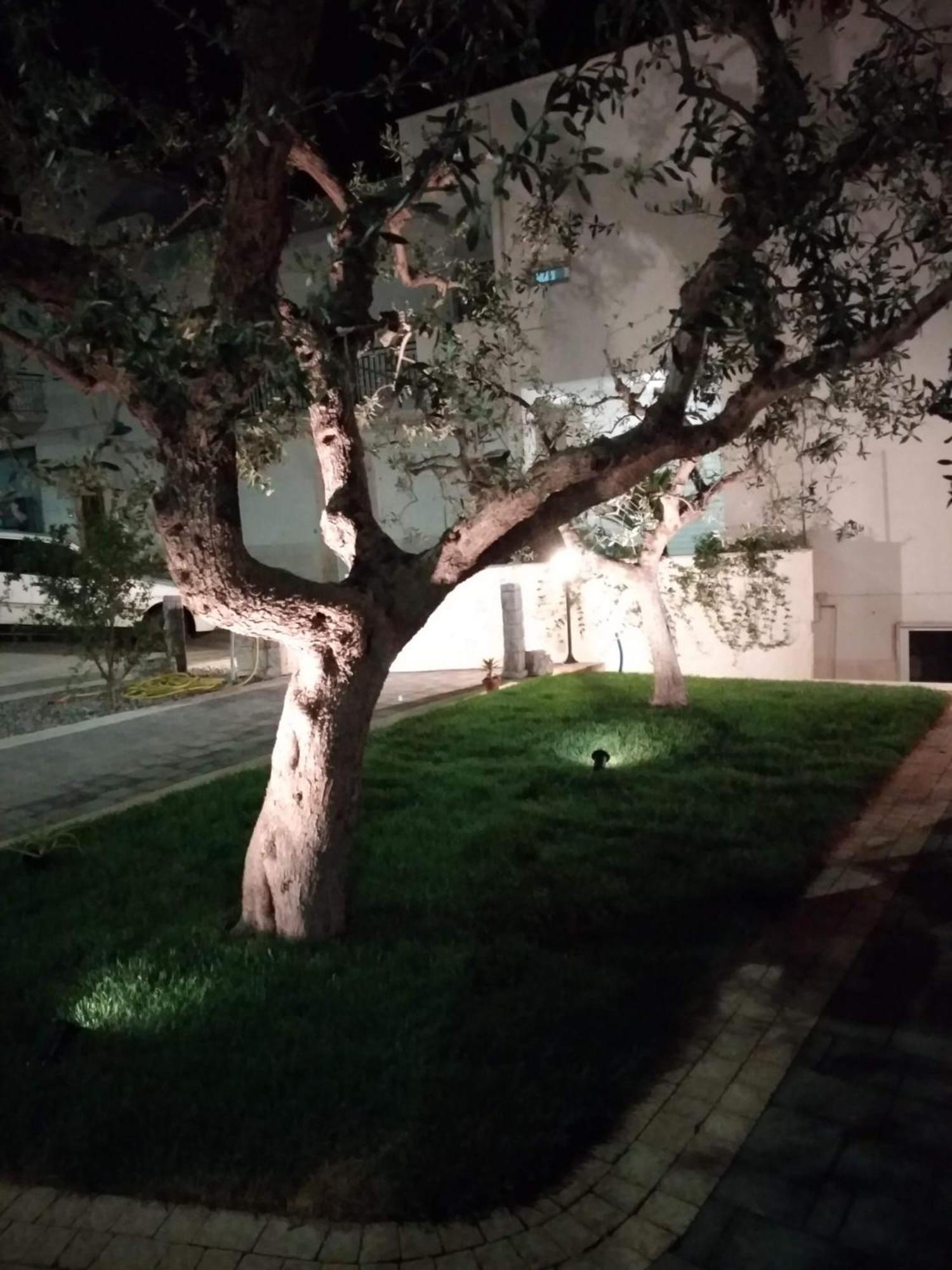 Apartmán I Cinque Ulivi Alberobello Exteriér fotografie