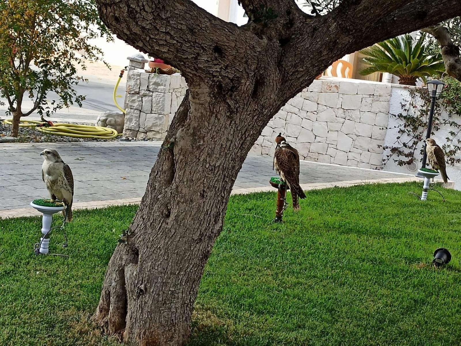 Apartmán I Cinque Ulivi Alberobello Exteriér fotografie
